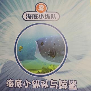 海底小纵队与鲸鲨