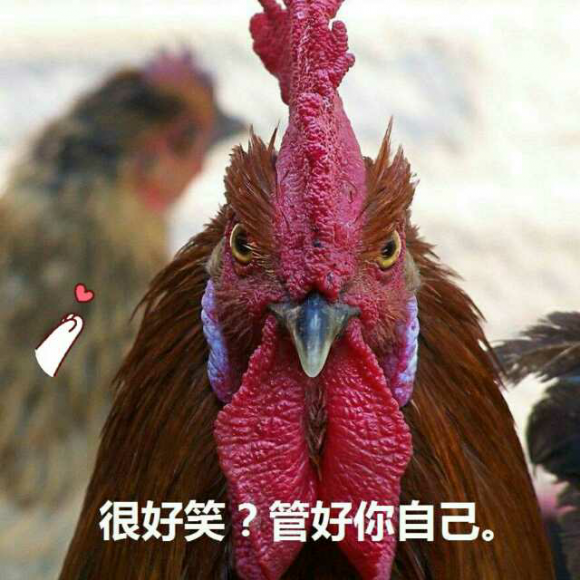 噉吧噉实验 下一期:                  大家还在听              闲话