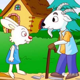 【上当受骗的小白兔】-南老师的故事小屋