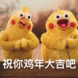 No.7 二零一鸡年新年特别节目