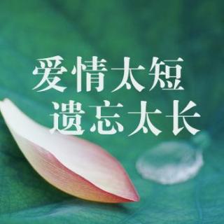 爱情太短,遗忘太长