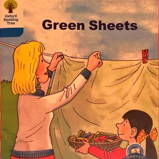 DD 3-11 Green sheets