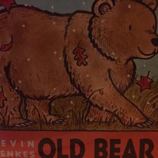 old bear