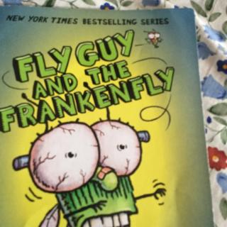 fly guy and the frankenfly