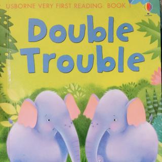 Usborne Very First Reading: Book 1 Double Trouble