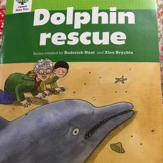 dolphinrescue