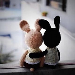 两个傻子的爱情