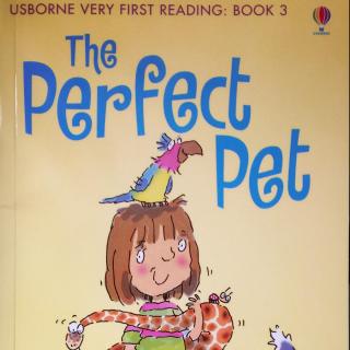 Usborne Very First Reading: Book 3 The Perfect Pet