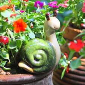 蜗牛的花园