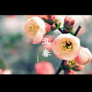 【传统节日】一年之计在于春