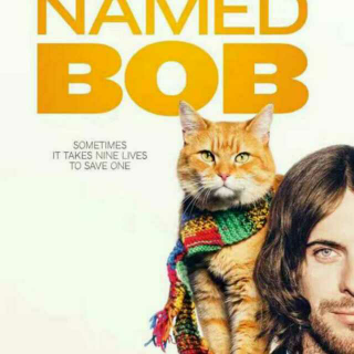 听我说电影【一只叫做Bob的流浪猫】