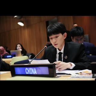 王源 联合国全英文发言音频