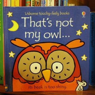 That's not my Owl