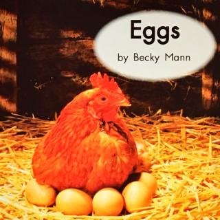 G1 book8 Eggs