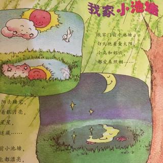 我家小池塘