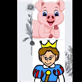 《养猪的王子》