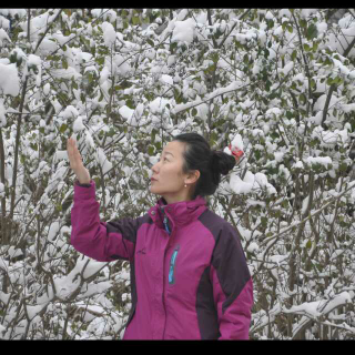 我在冬雪里等你