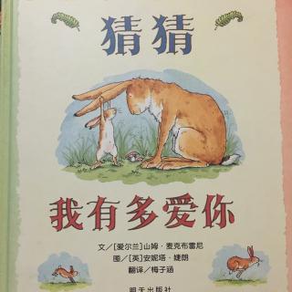 猜猜我有多爱你