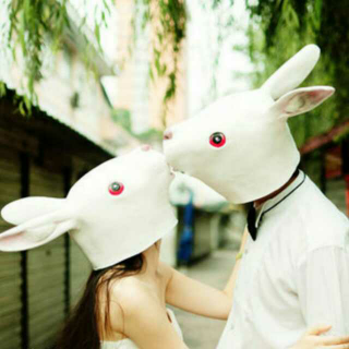 【🐰兔子先生和兔子姑娘】一起啃胡萝卜吧