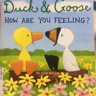 Duck&Goose How Are You Feeling