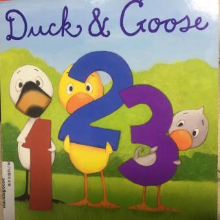 Duck&Goose 123