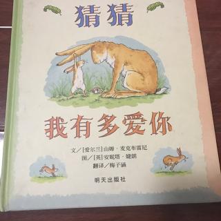 猜猜我有多爱你