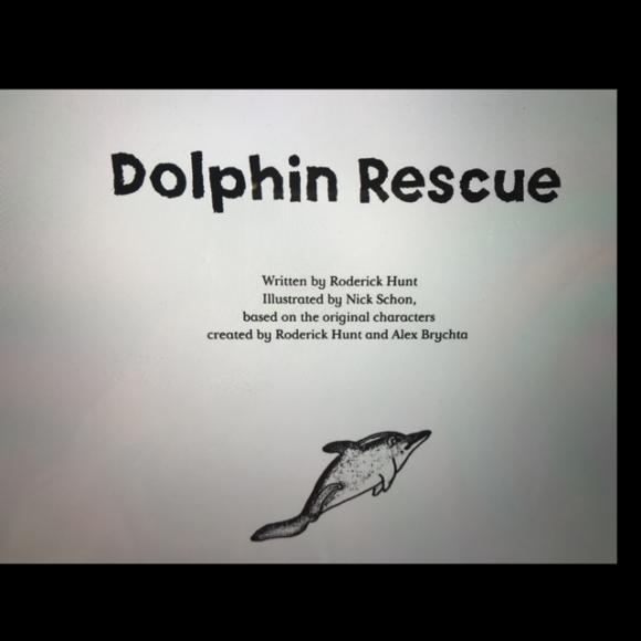 dolphin rescue