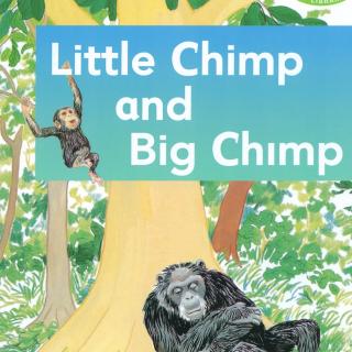 SetA L1-B3 Little Chimp and Big Chimp