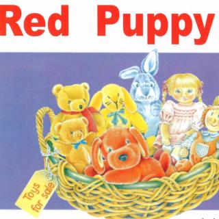 Set A L1-B9 Red Puppy