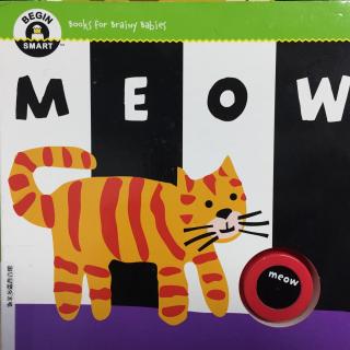 Begin Smart系列 - Meow