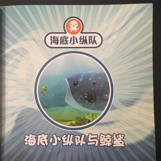 海底小纵队与鲸鲨