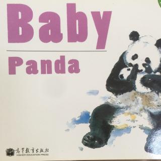 Set A L2-B3 Baby Panda