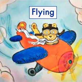 G1 book11 Flying