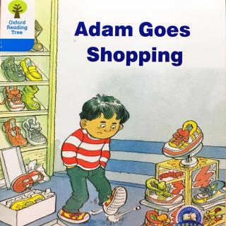 4-6 Adam goes shopping