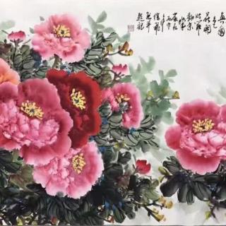 《对星星的诺言》作者／纳兰 牧心   朗诵：松风竹韵