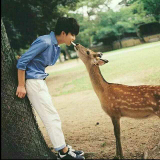 给陌生人同样的温暖。