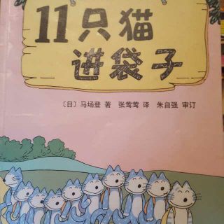 11只猫进袋子