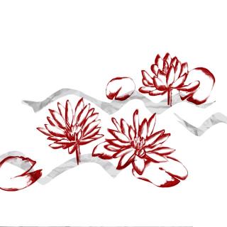 翁大涵白莲强推