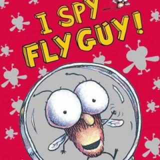 I Spy Fly Guy