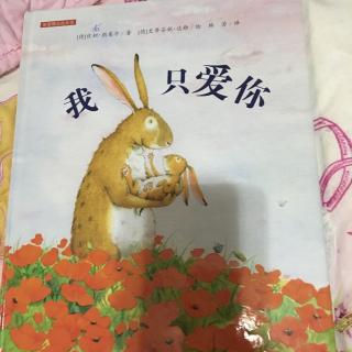 我只爱你