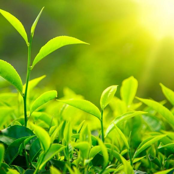 02.07我的功课】在线收听_享受悦读滋养心灵_荔枝fm