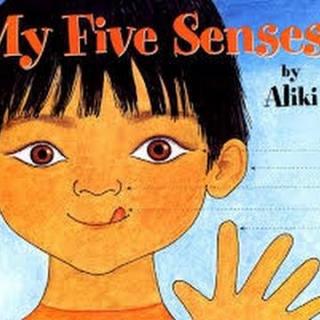 My Five Senses