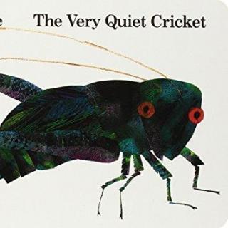2016.12.30-The Very Quiet Cricket