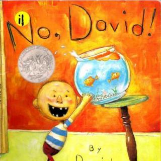 2016.12.05-No David!