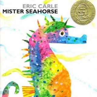 2016.11.16-Mister Seahorse