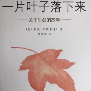 第182期《一片叶子落下来》－兔子姐姐讲故事