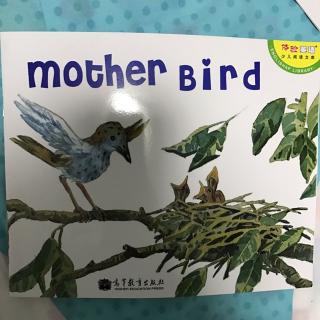 mother bird--姜彦名