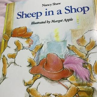 sheep in a shop-p1-p13