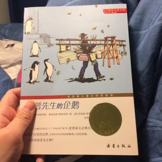 波普先生的企鹅🐧（2）