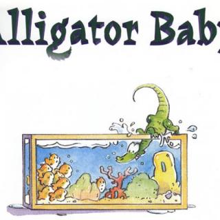 Alligator Baby抱个鳄鱼宝宝回家